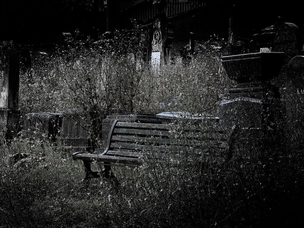 a dark, eerie pograph of an empty bench