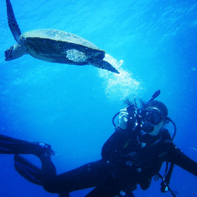 a man scubas underwater with a turtle swimming by