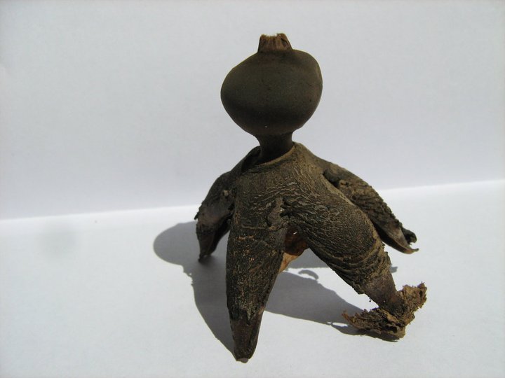 a bird sculpture on the back of a stuffed animal