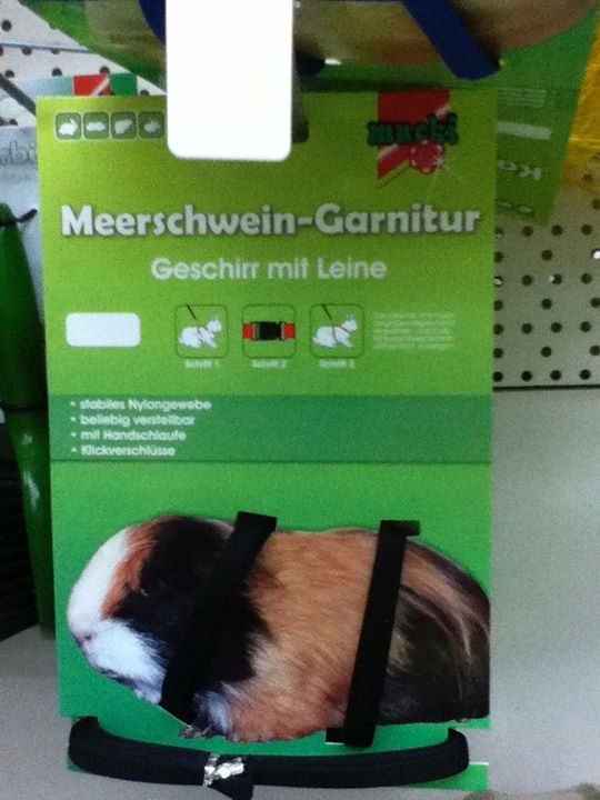 this is a picture of the box of the guinea pig