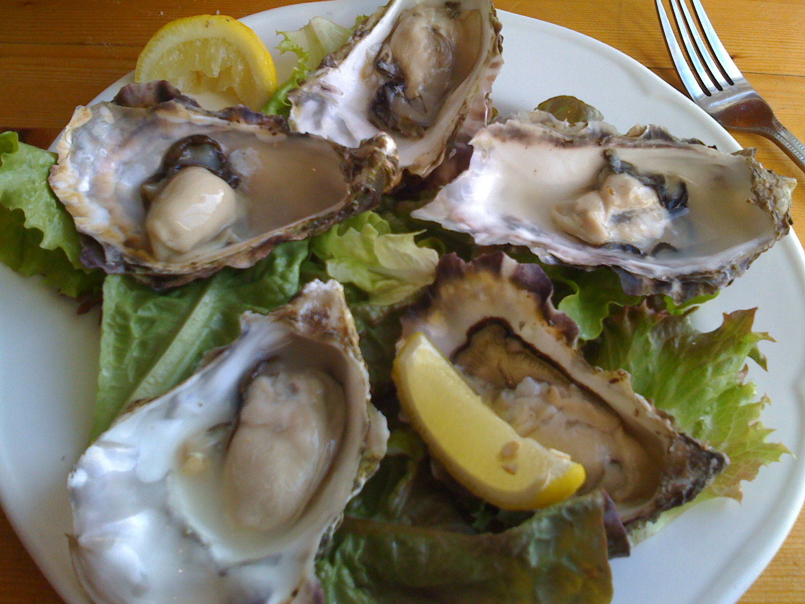 plate of oysters, garnished with lemon wedges and lettuce