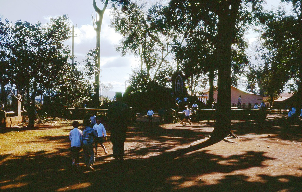 a park with several trees with people standing around