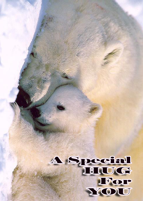 two polar bears sharing an adorable moment together