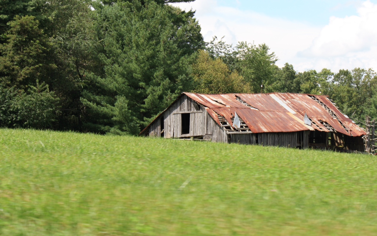 a small run down barn with rusty roof in the middle of green field