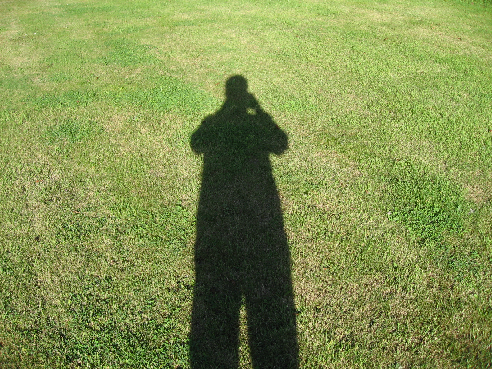 shadow on grass and man holding open umbrella