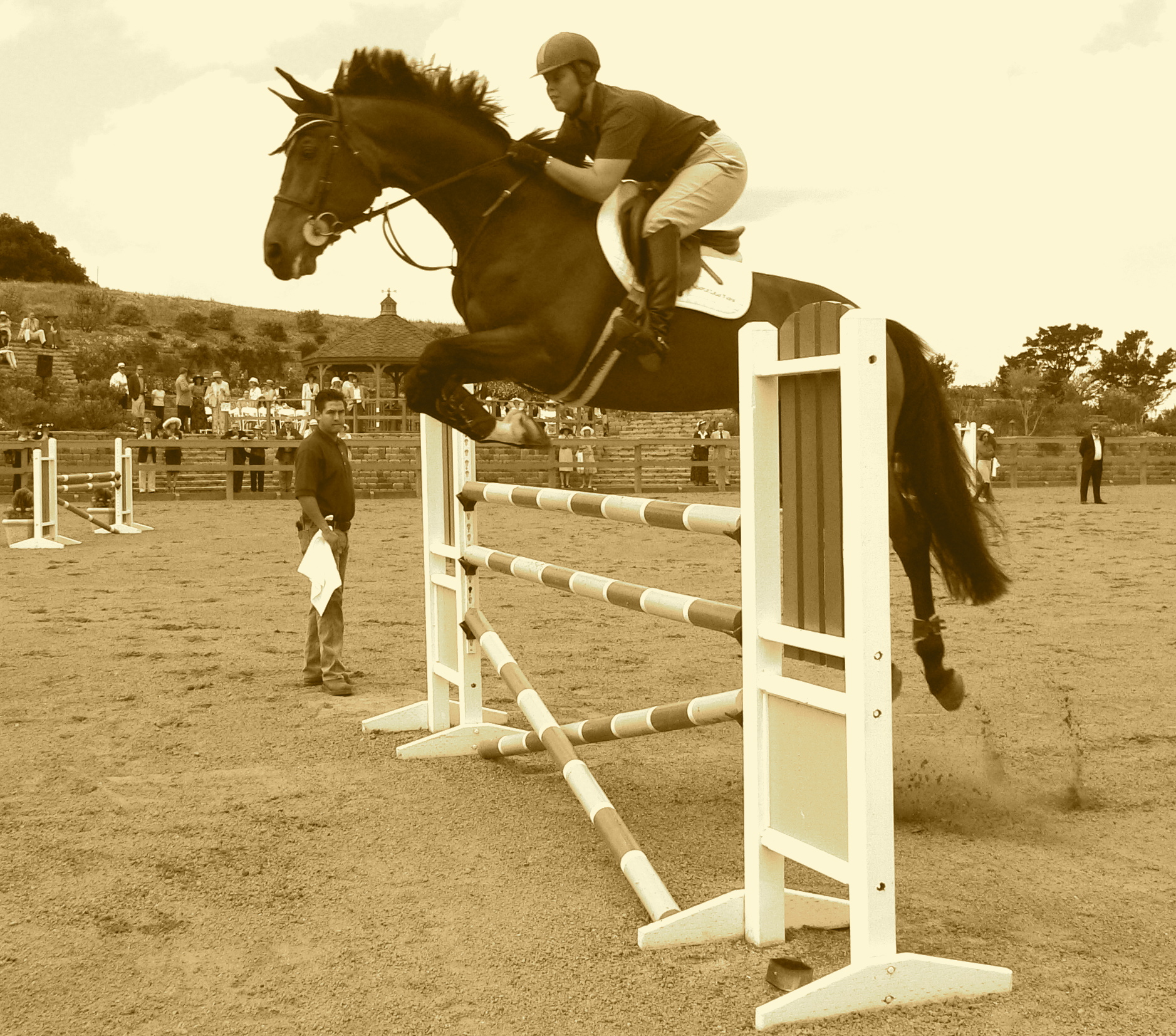 a horse that is jumping over a fence