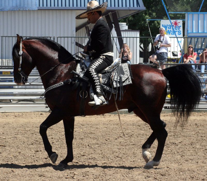 a man in a black suit riding on the back of a horse