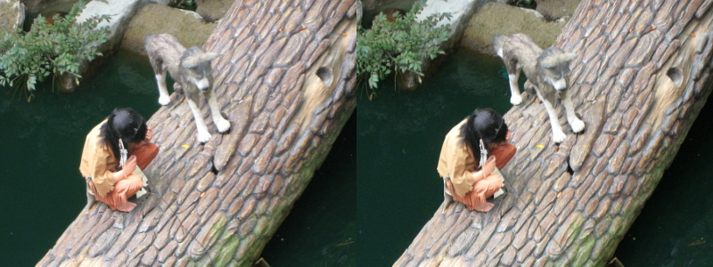 birds and other animals standing on a large tree