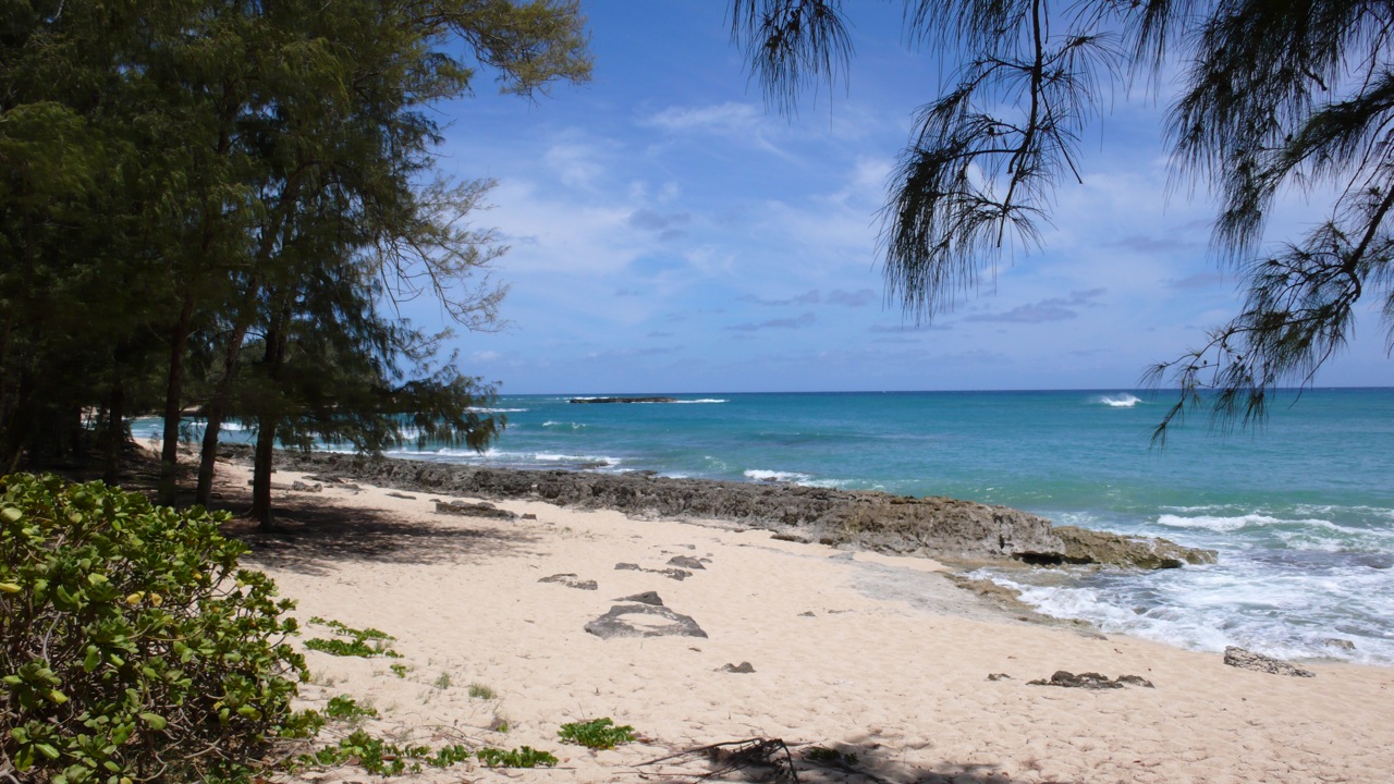 the ocean view from the beach is full of sand