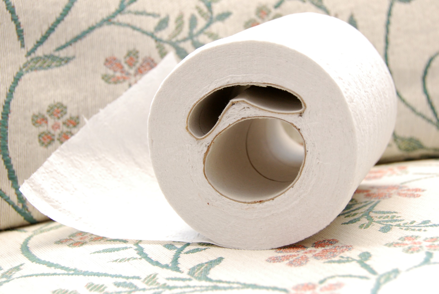 an image of a roll of toilet paper on floral print
