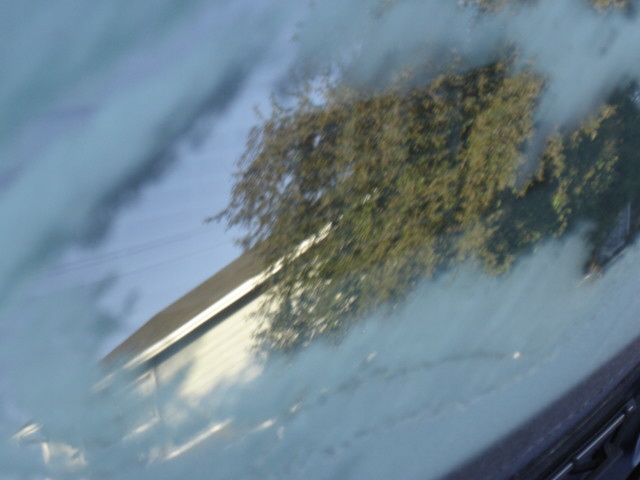 there is a picture of trees from inside the vehicle