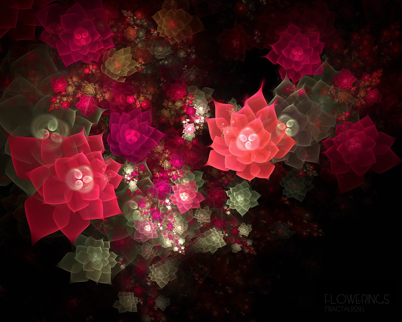 an abstract po of pink and red flowers