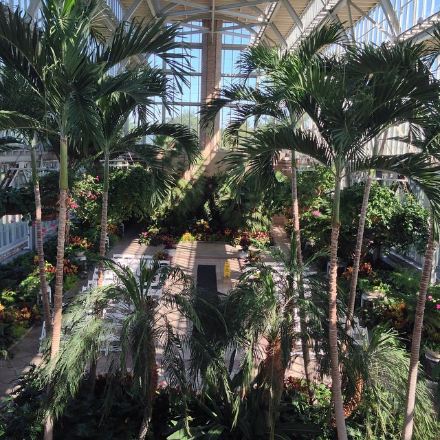 a large indoor building with a bunch of plants