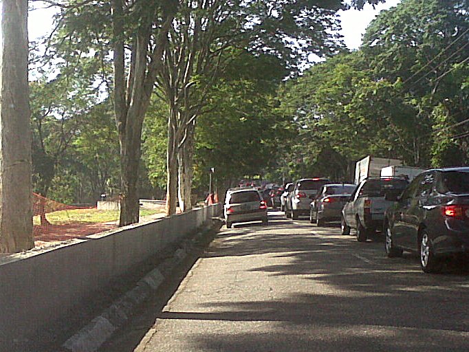 a long and narrow road in the middle of trees