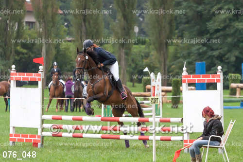 a person on a horse that is jumping over a rail