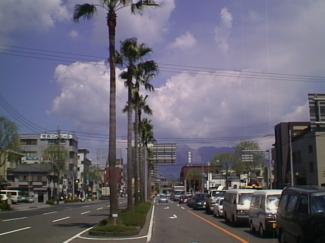 a street with cars parked on the side and palm trees in the middle