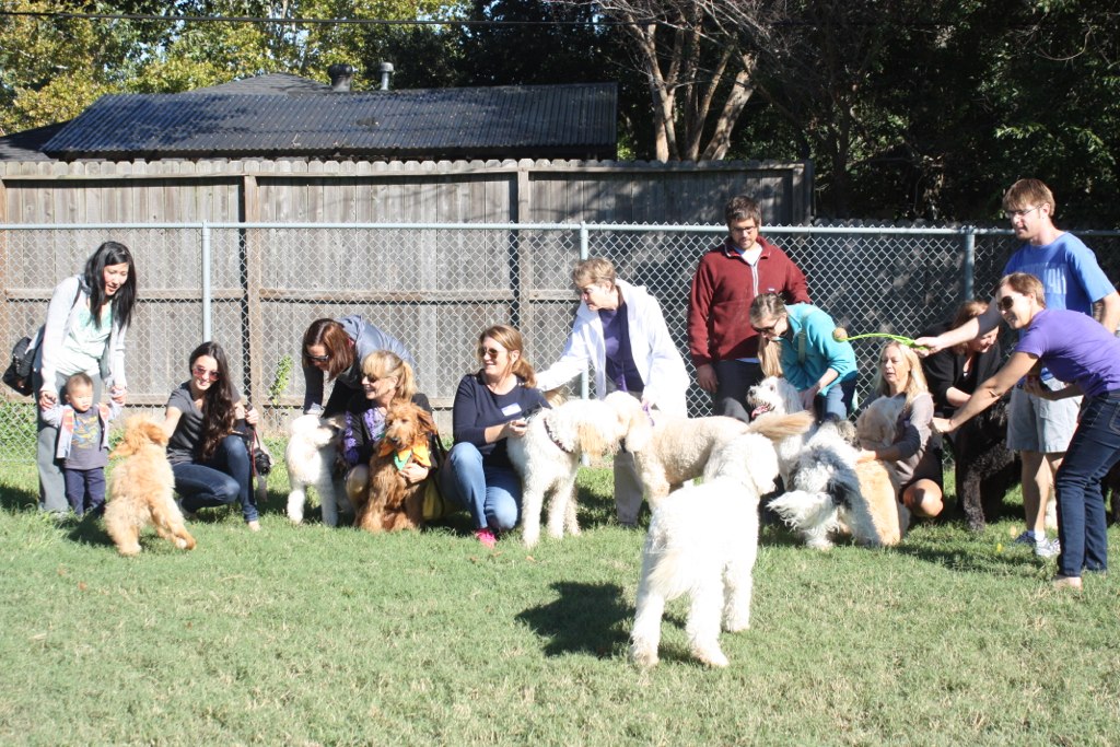 several people holding dogs behind them while some are holding their hands