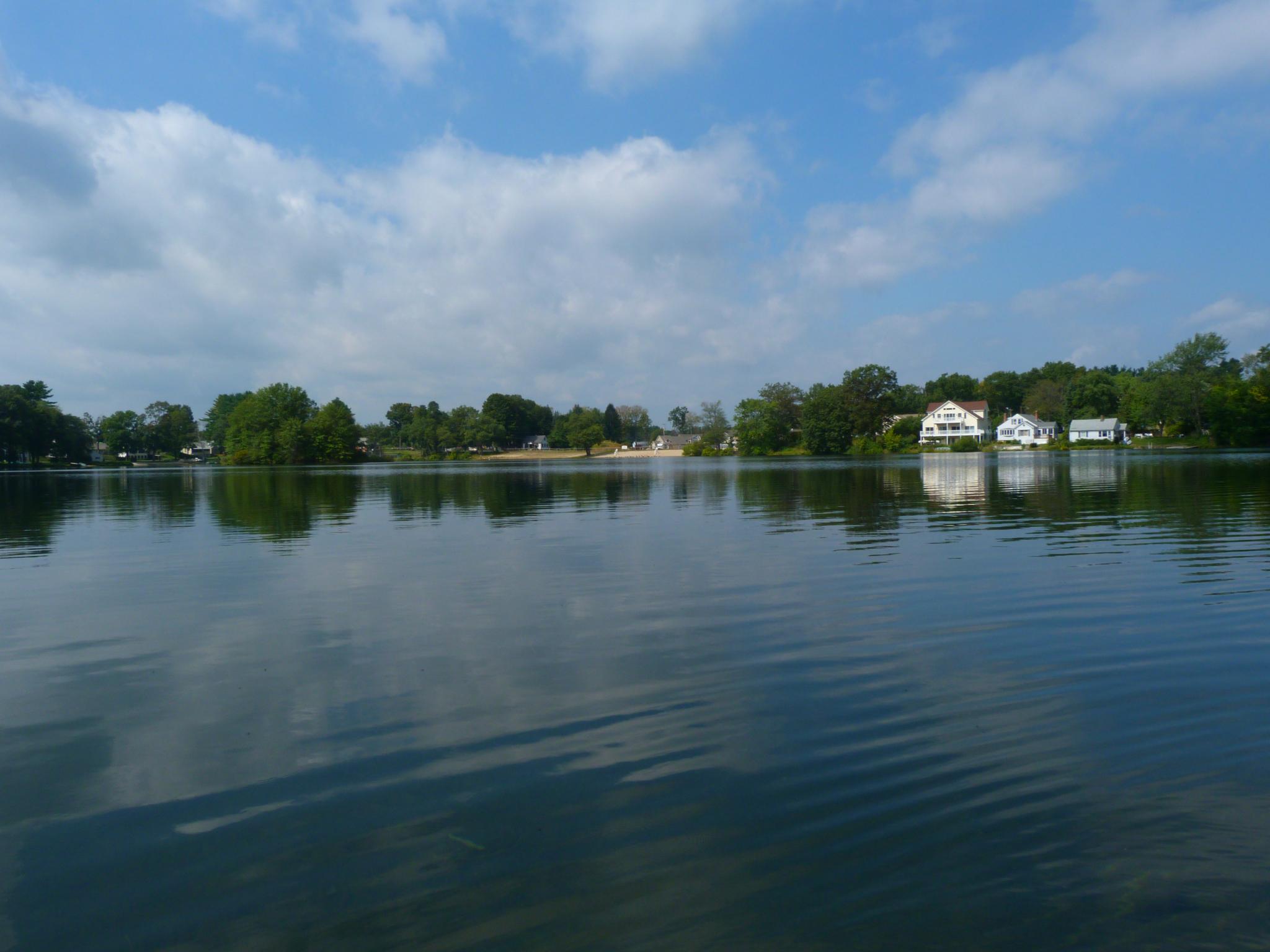 this is a body of water with trees in the background