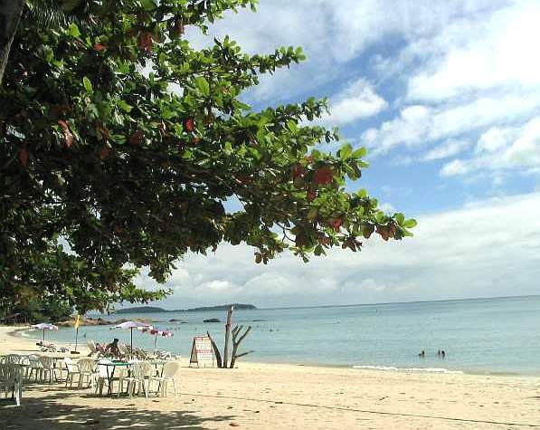 tables and chairs are lined up under a tree