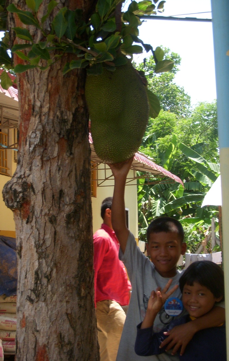 a group of people hanging up fruit from a tree