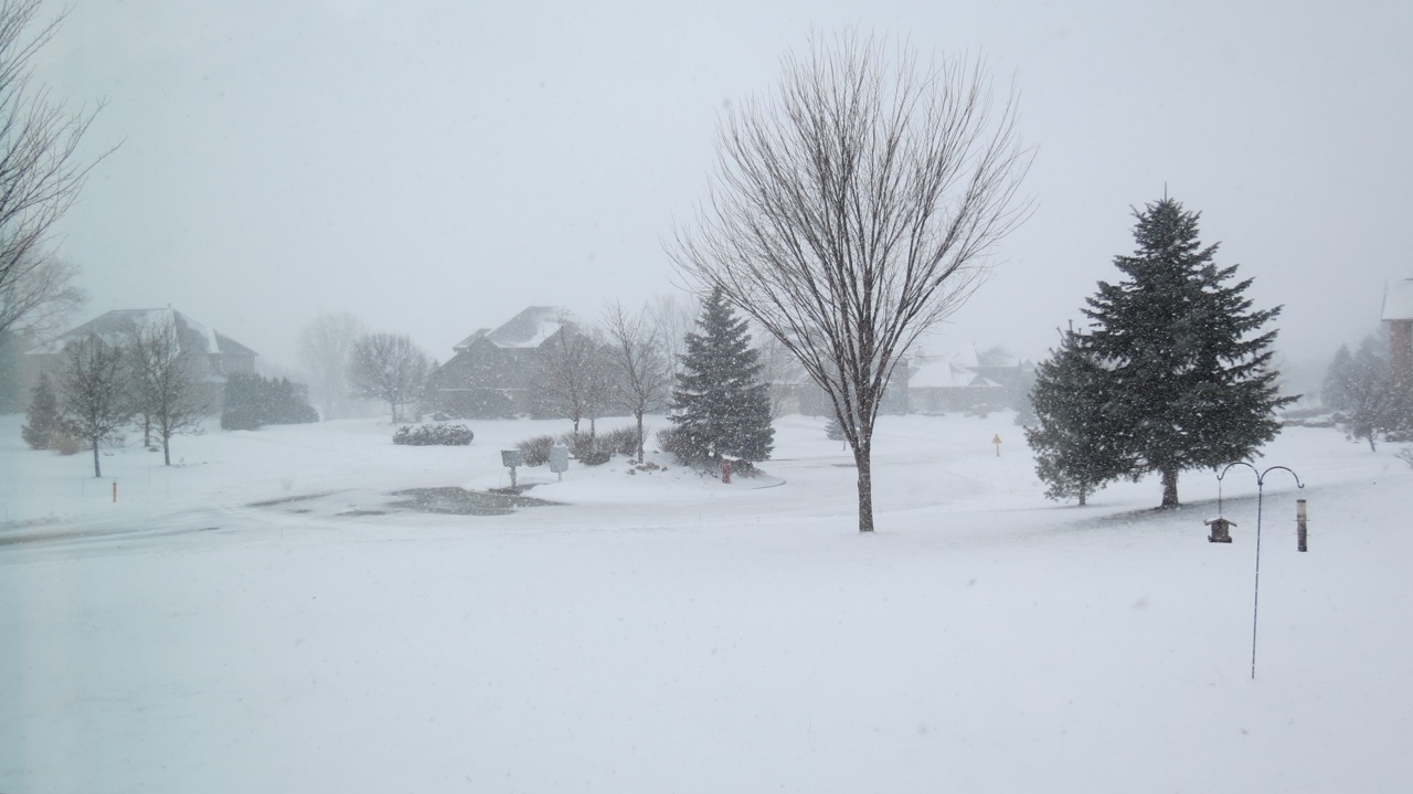 a snowy day, street with houses and trees