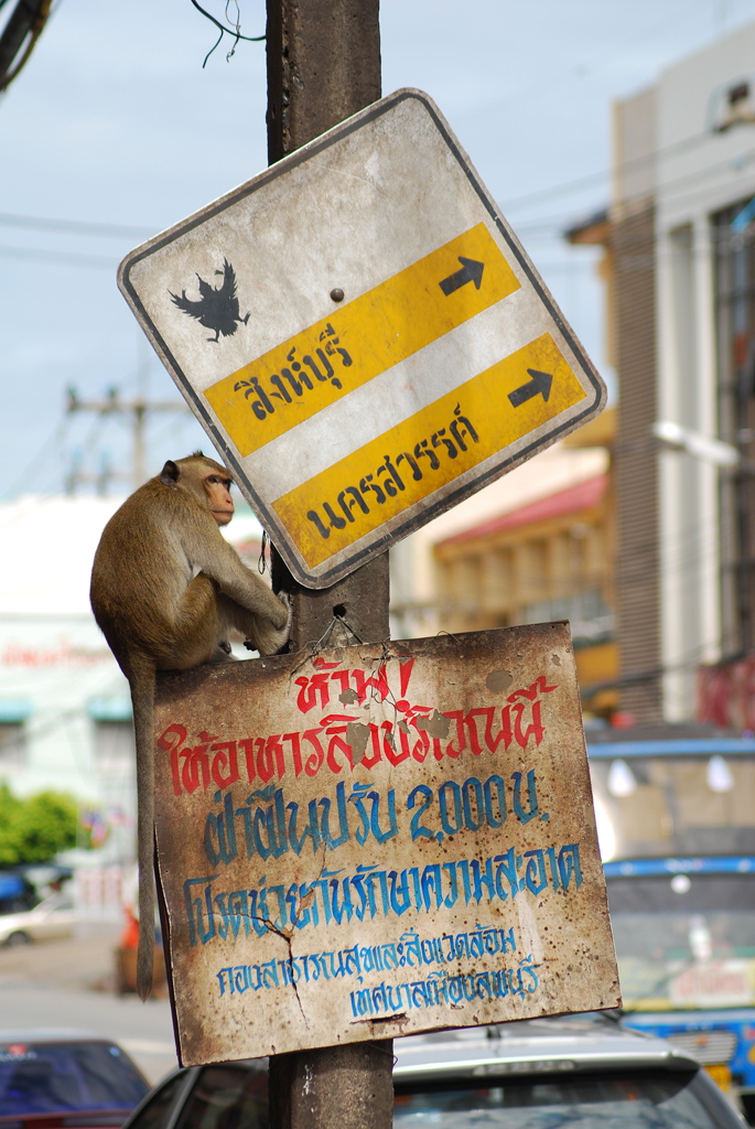 a monkey hanging from a pole in front of a sign that says no tresses