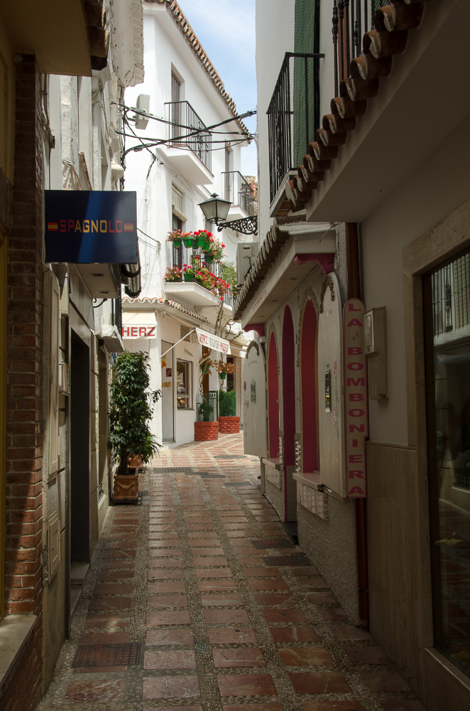 the narrow street in the village has many flowers on each building