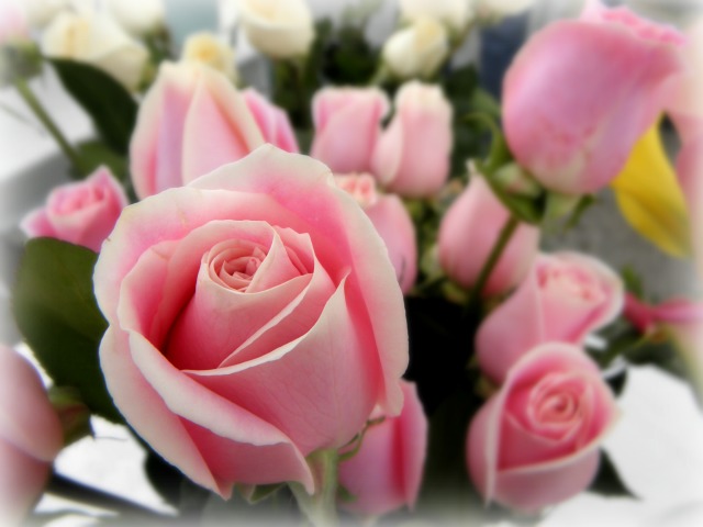 a bouquet of pink roses in the middle of white and yellow flowers