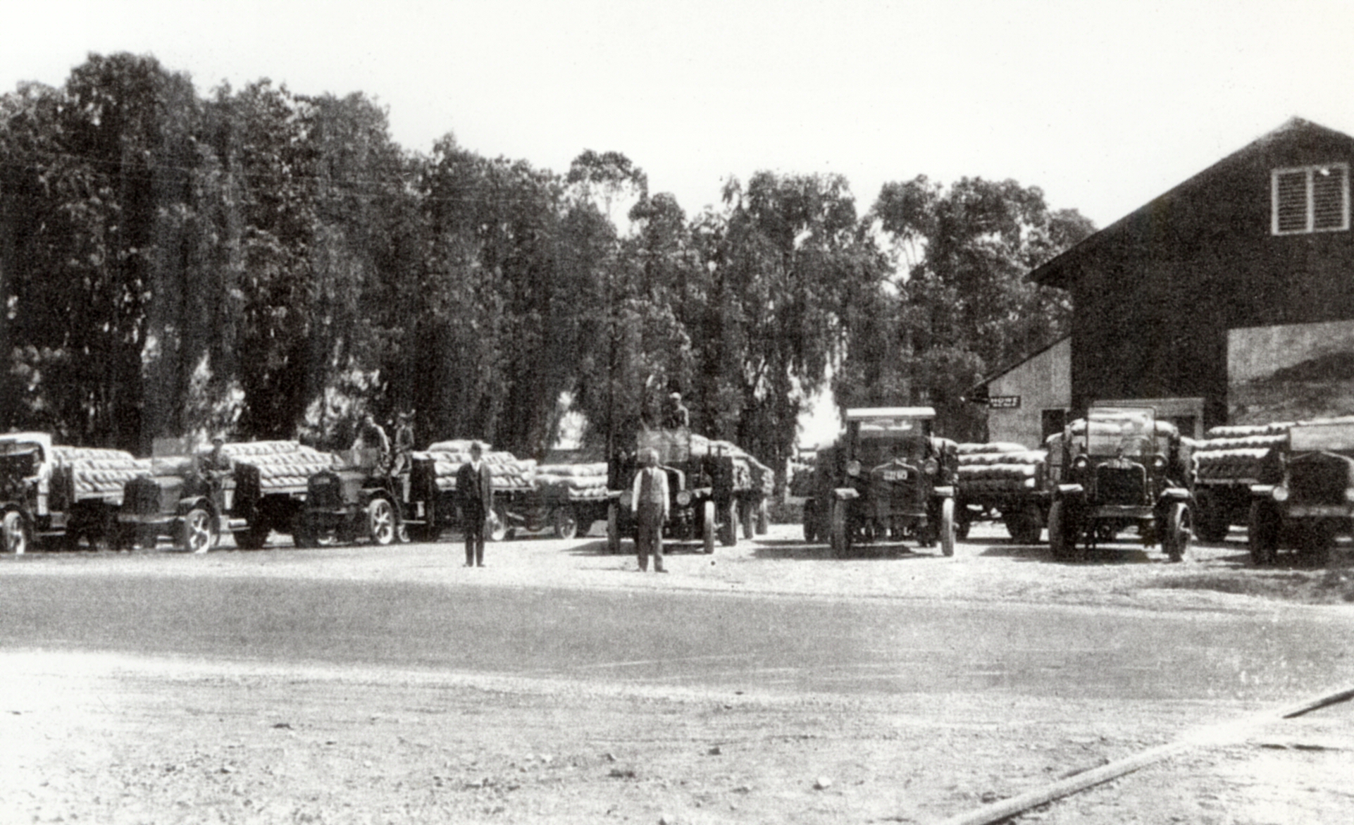 a black and white image of several vehicles parked outside