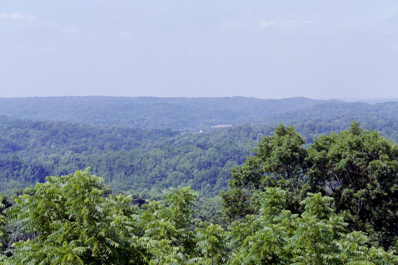 an overlook point is seen with the view over trees
