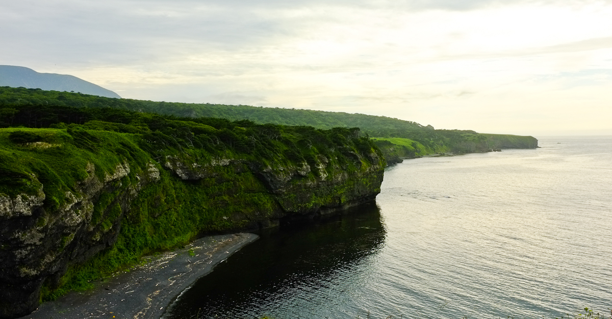 a cliff that has grass growing on it