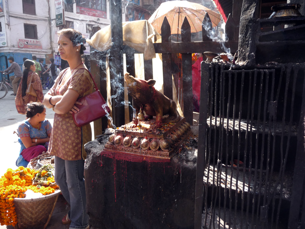 a woman and girl are looking at the dog on the stand