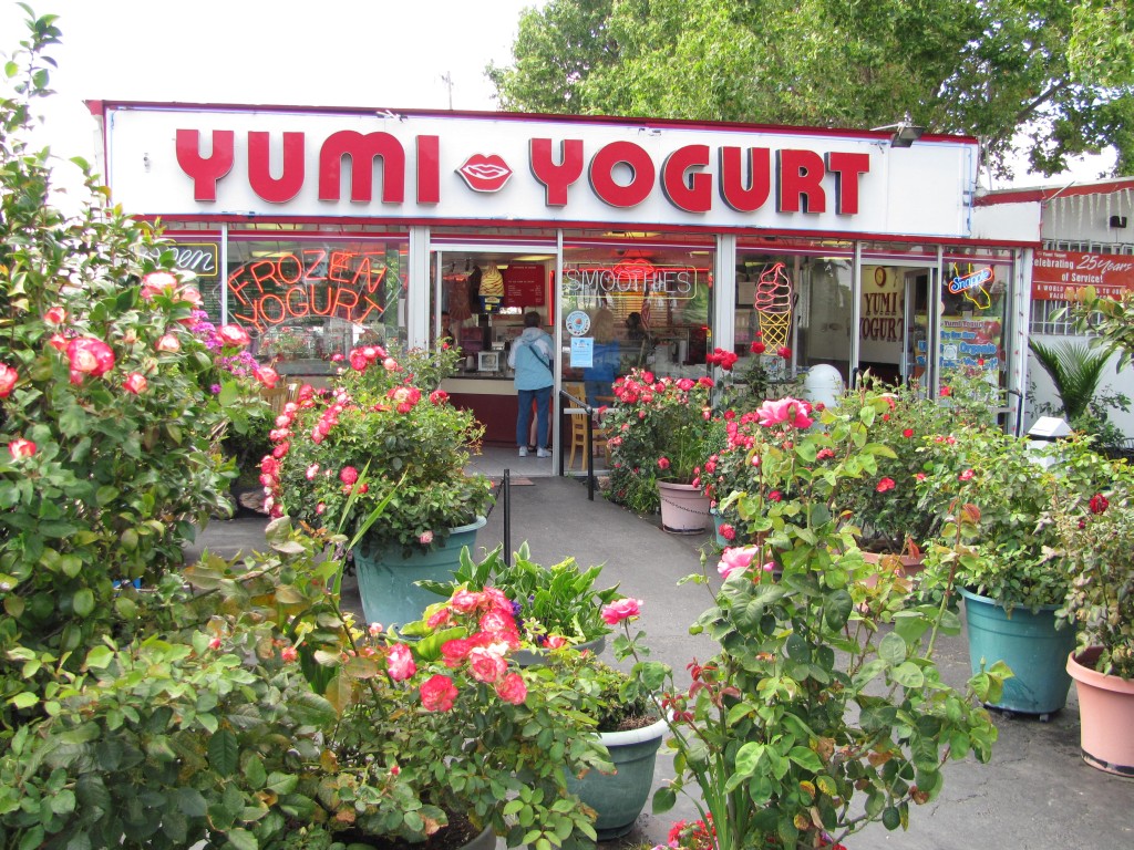 a store front with lots of potted plants in it