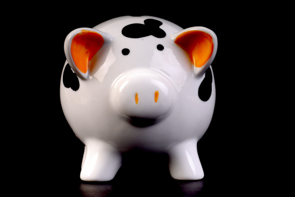 a white piggy bank with black spots and orange ears