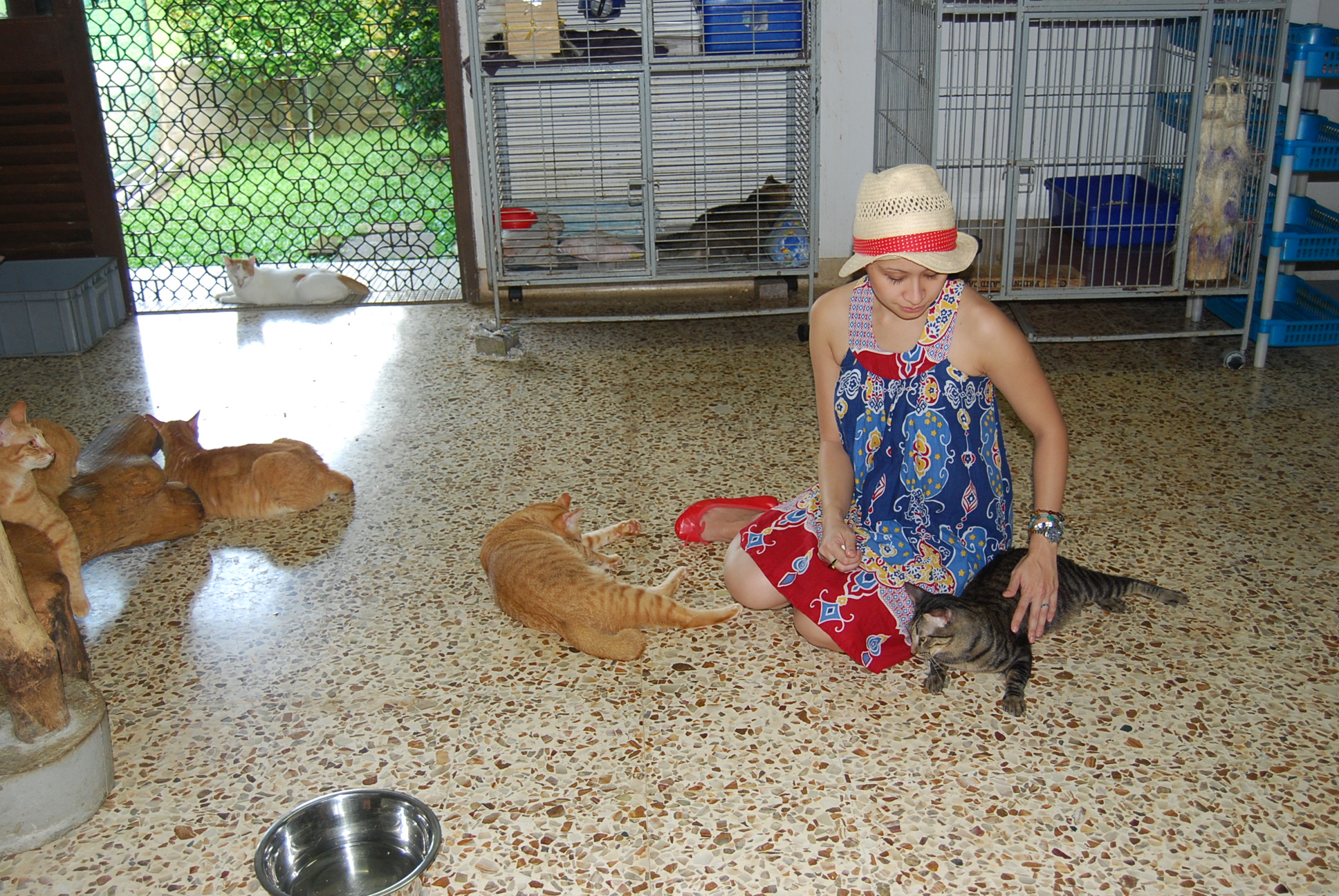a lady in an orange hat sits on the floor next to her cats