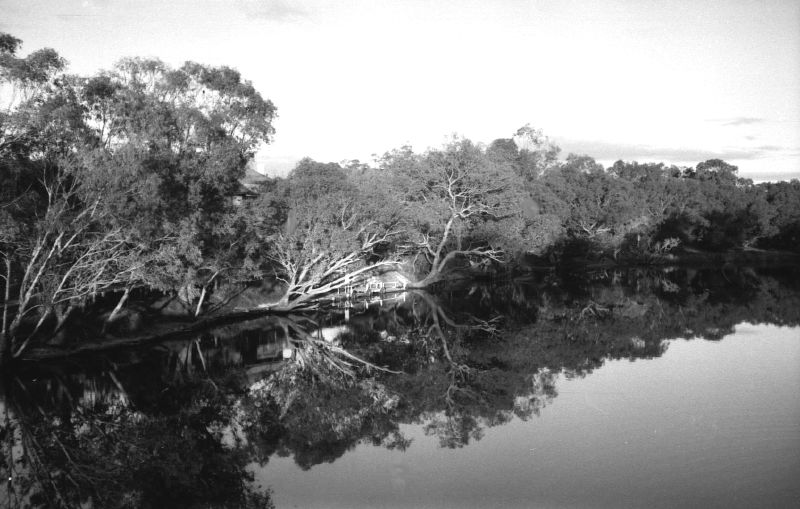a beautiful black and white landscape with some trees and water
