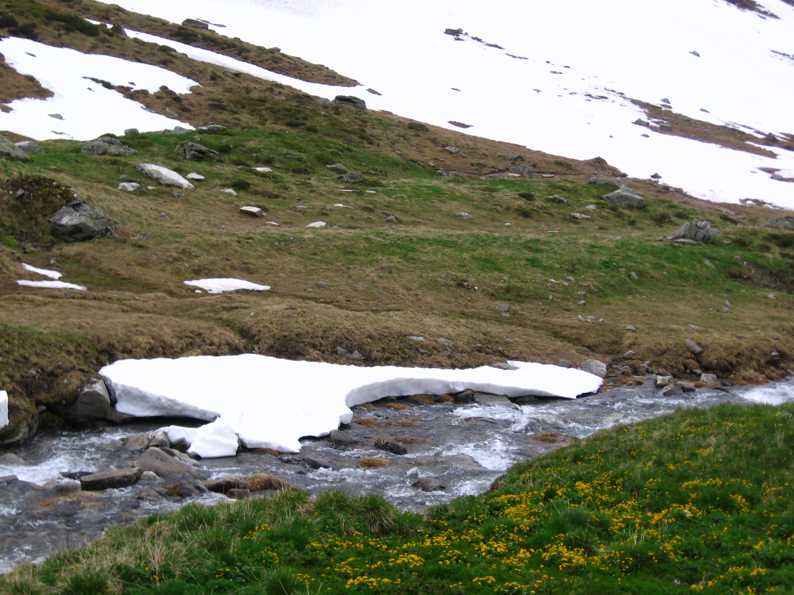 the mountains have snow covered streams and bushes