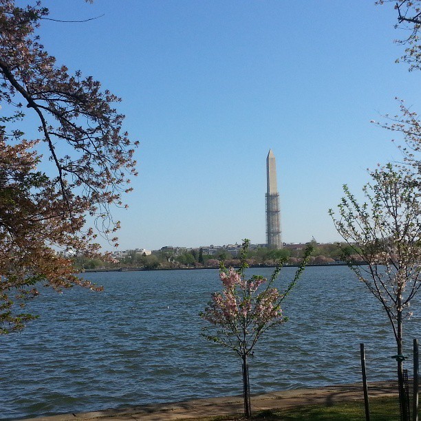 a view of the washington monument from across the water