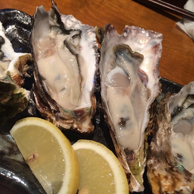 several oysters sit on ice with lemon slices and other seafood items