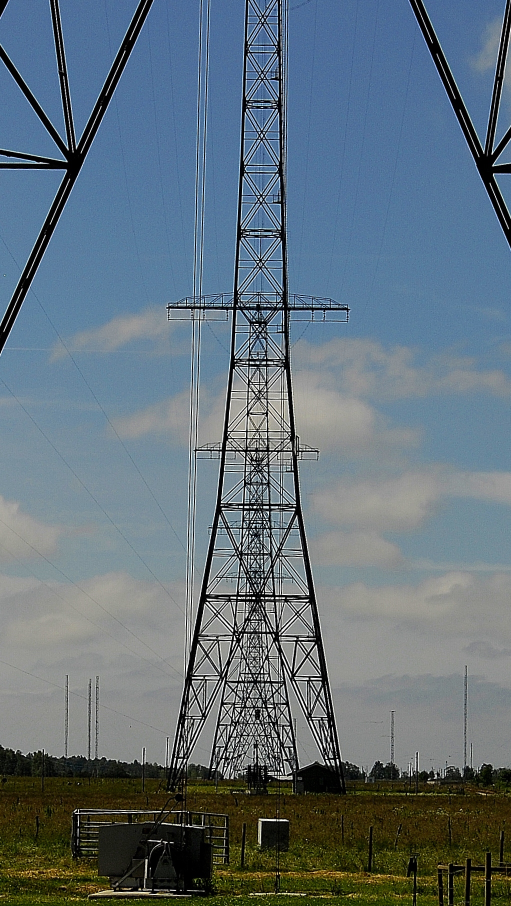 tall tower near a grassy area and blue skies