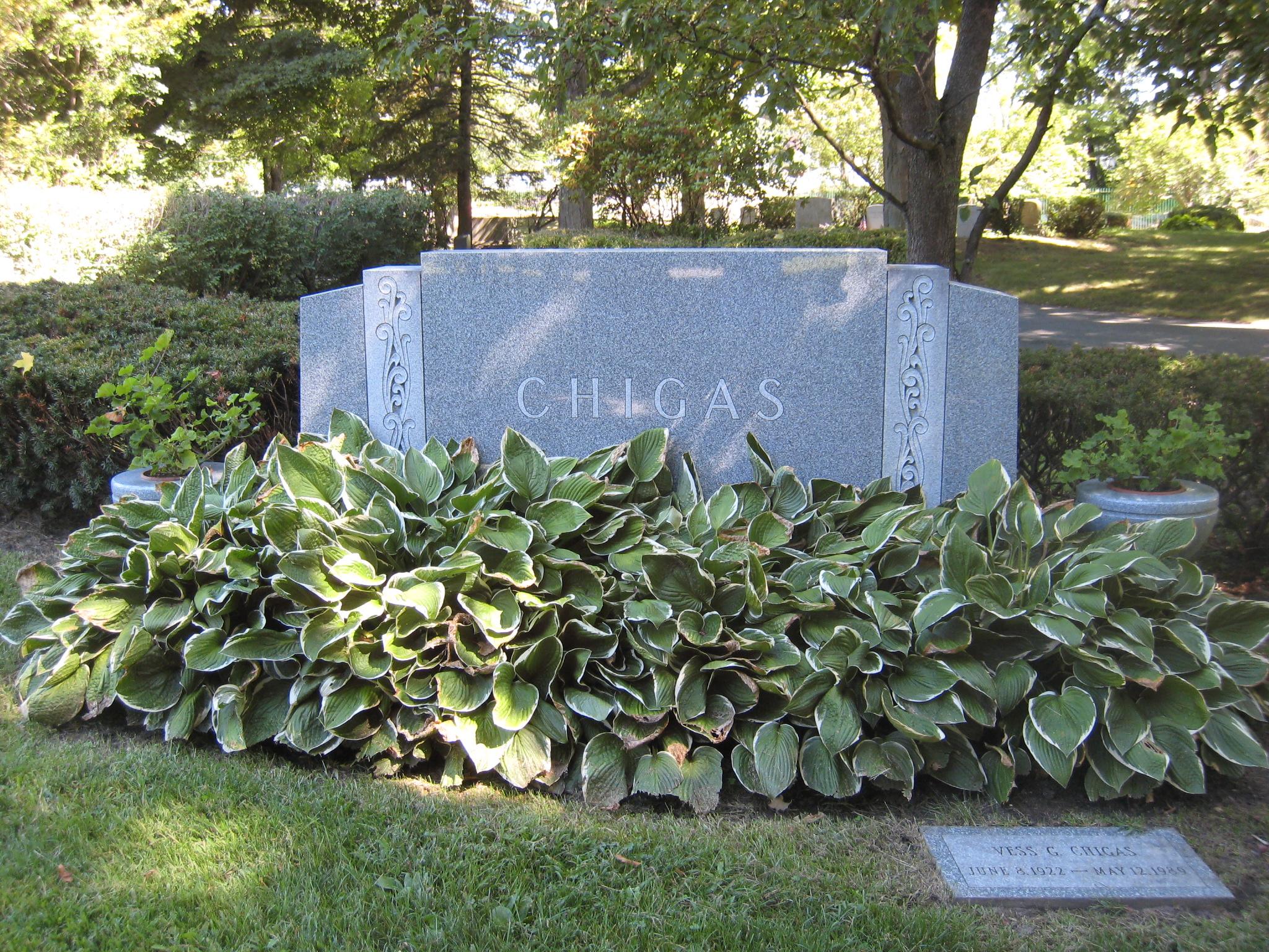 a large bush with some green leaves in a circle near a monument