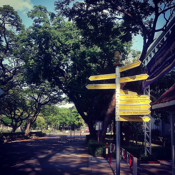 a street sign is near the tree lined sidewalks