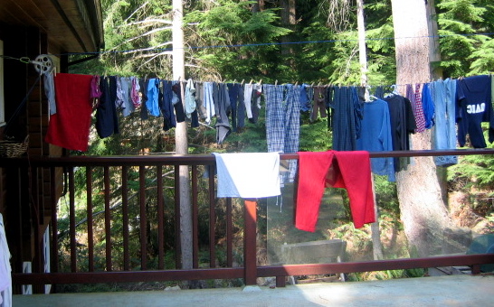 clothes and laundry hung outside by the trees