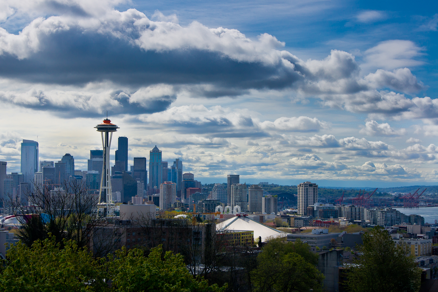 a bird flies through the clouds over the city