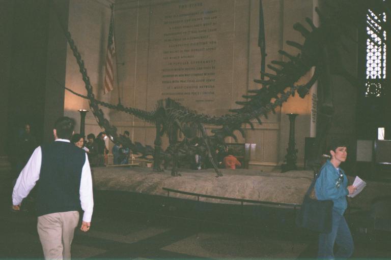 a group of people that are looking at some dinosaurs