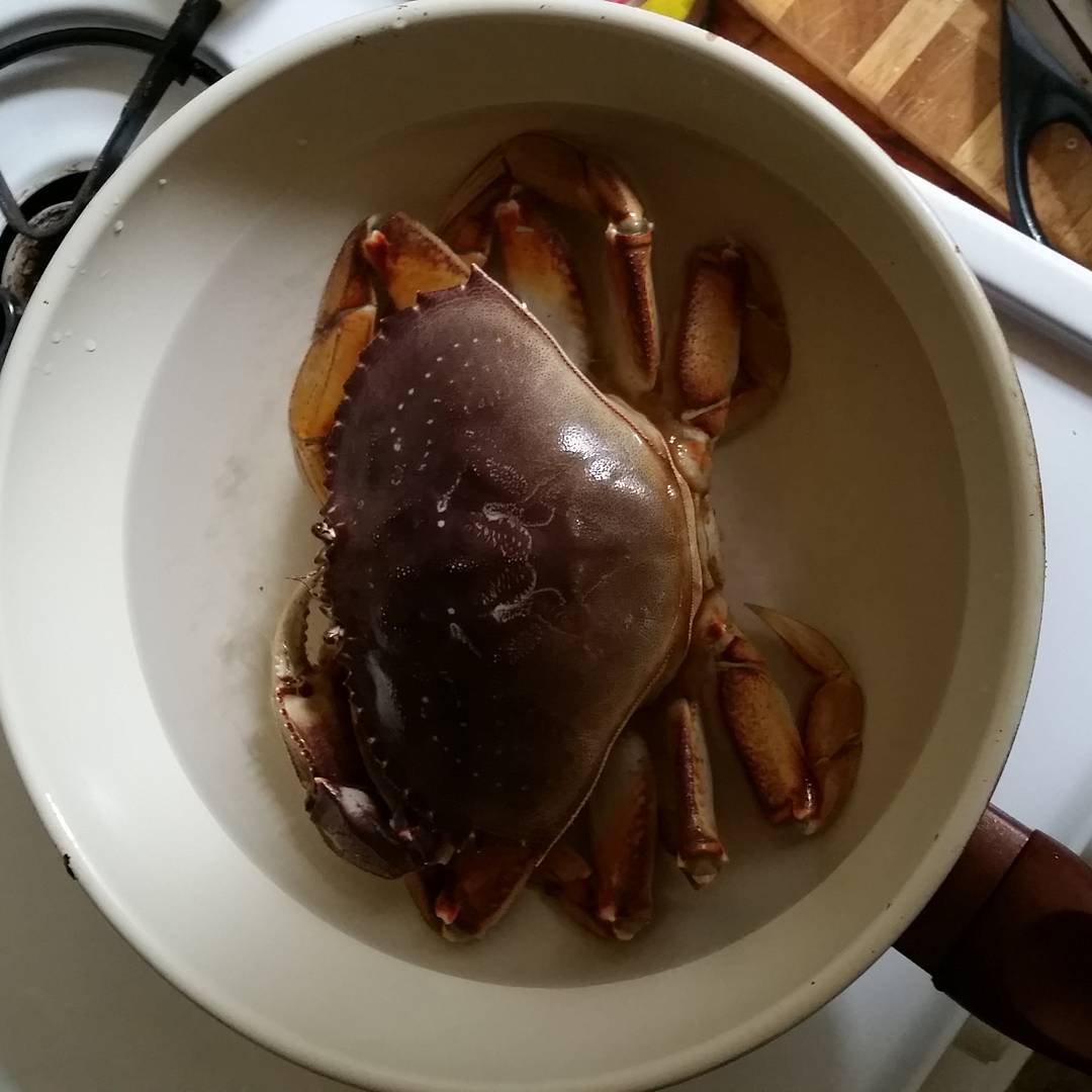 a crab with its head stuck in it's shell in a bowl