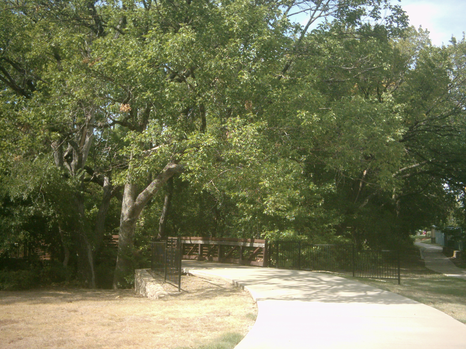 a park with a dirt area surrounded by trees