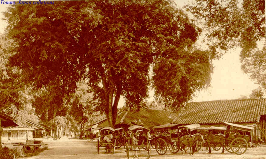 horse drawn carriages are parked on the side of the road