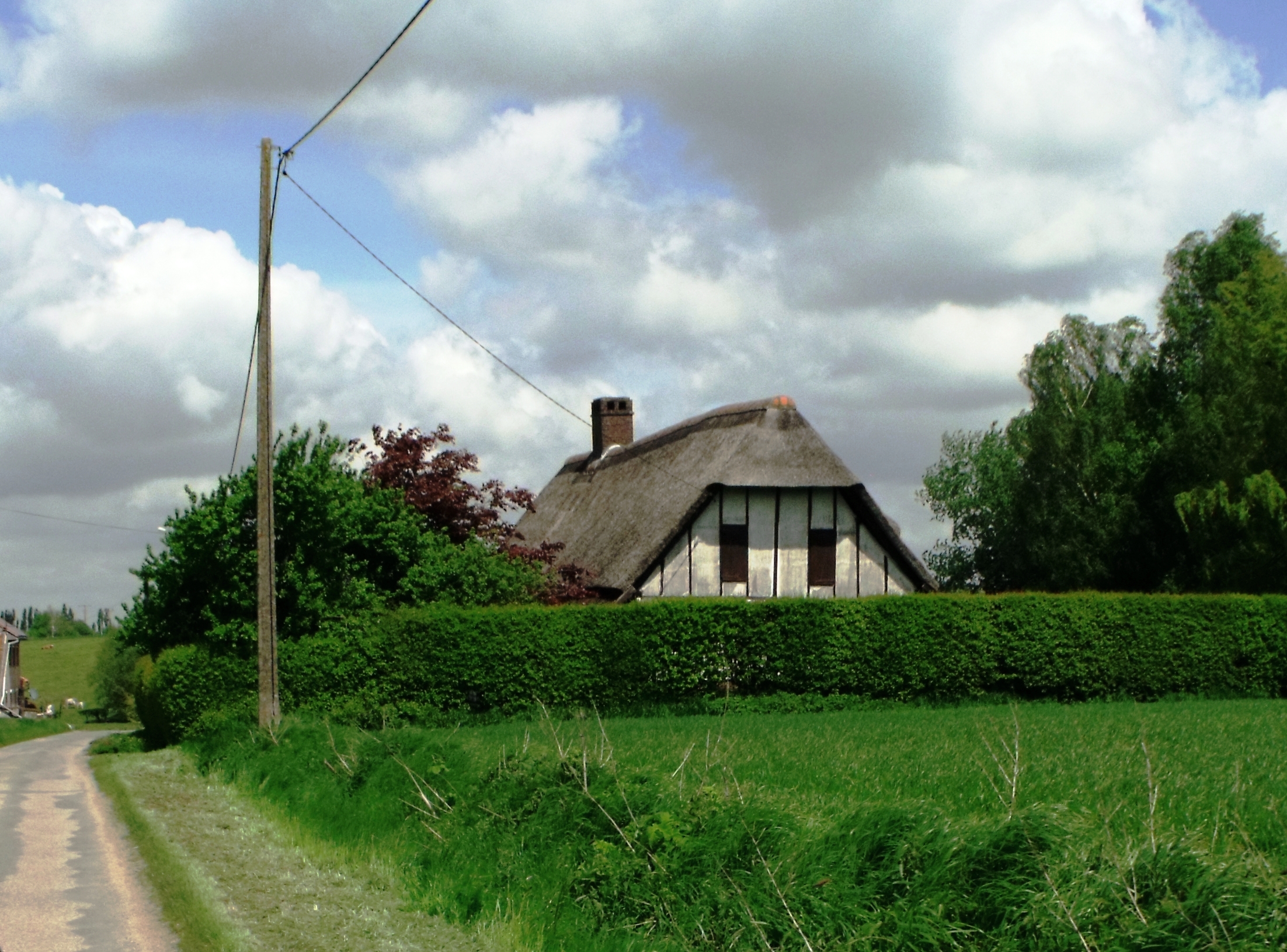 a small cottage sitting above a large hedge