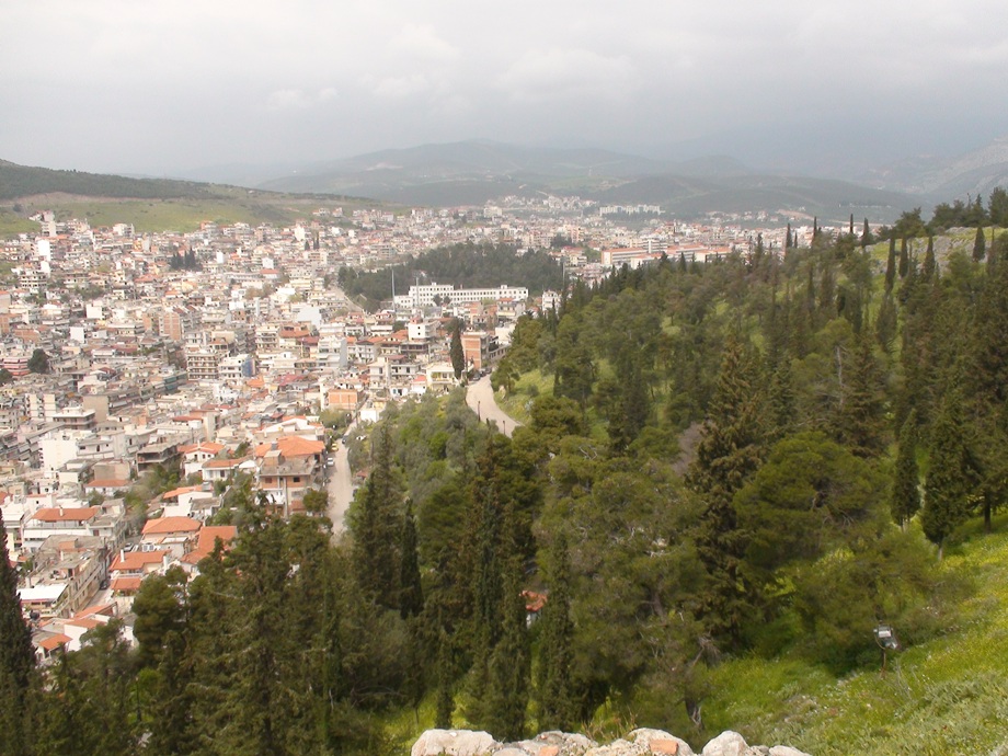 a lush green hillside surrounded by trees and buildings